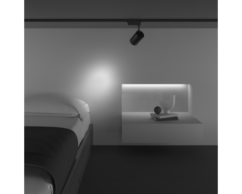 Трековый светильник Technical TR003-1-10W3K-S-B