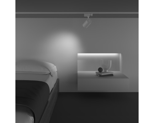 Трековый светильник Technical TR029-3-10W3K-M-W