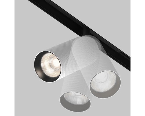 Трековый светильник Technical TR097-2-12W4K-M-BW