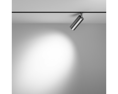 Трековый светильник Technical TR032-2-12W4K-S-MG