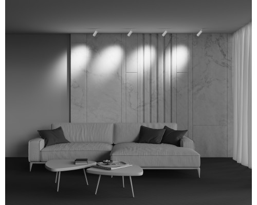 Трековый светильник Technical TR212-4-12WTW-DD2-Z-W