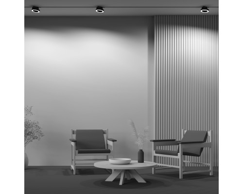 Трековый светильник Technical TR044-1-12W3K-B