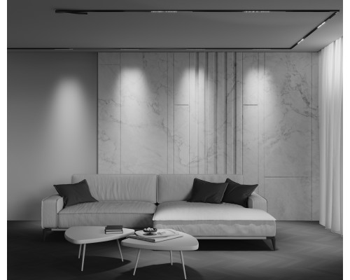 Трековый светильник Technical TR241-4-6WTW-DD2-B