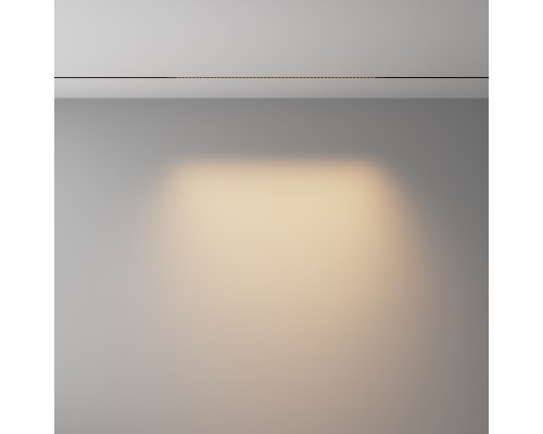 Трековый светильник Technical TR241-2-12W3K-B