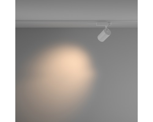 Трековый светильник Technical TR029-3-20W3K-M-W