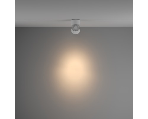 Трековый светильник Technical TR084-1-15W3K-W