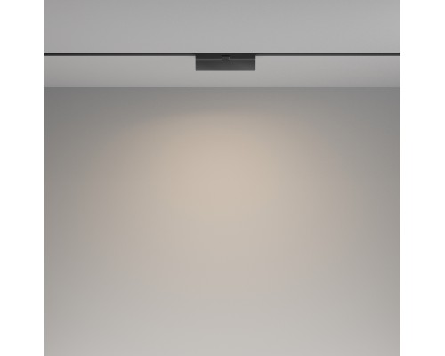 Трековый светильник Technical TR036-2-12W4K-B