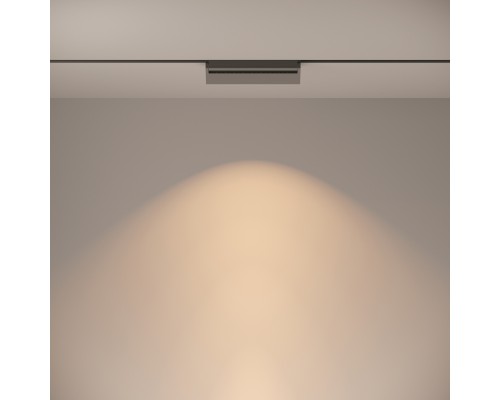 Трековый светильник Technical TR013-2-20W3K-B