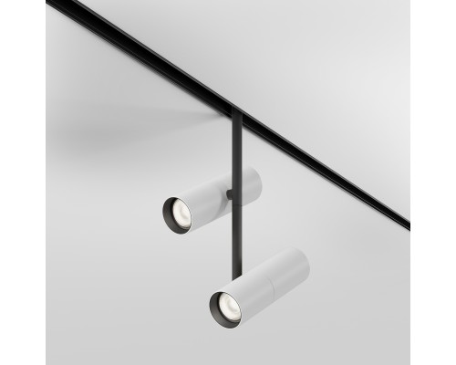 Трековый светильник Technical TR005-4-2X12W-DS-BW