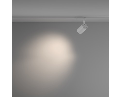 Трековый светильник Technical TR003-1-15W4K-M-W