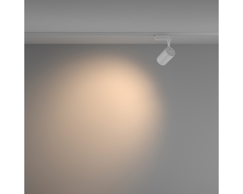 Трековый светильник Technical TR003-1-10W3K-W-W