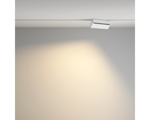 Трековый светильник Technical TR077-2-20W3K-W