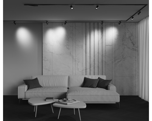 Трековый светильник Technical TR243-4-12WTW-DSZ-B