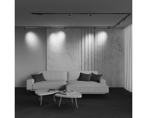 Трековый светильник Technical TR243-4-5WTW-DSZ-B