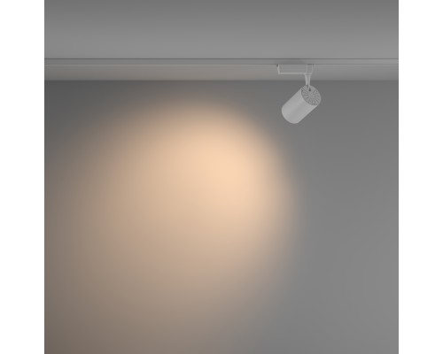 Трековый светильник Technical TR003-1-26W3K-W-W