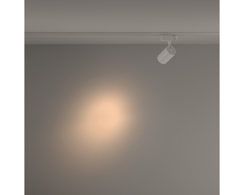 Трековый светильник Technical TR029-3-10W3K-S-W