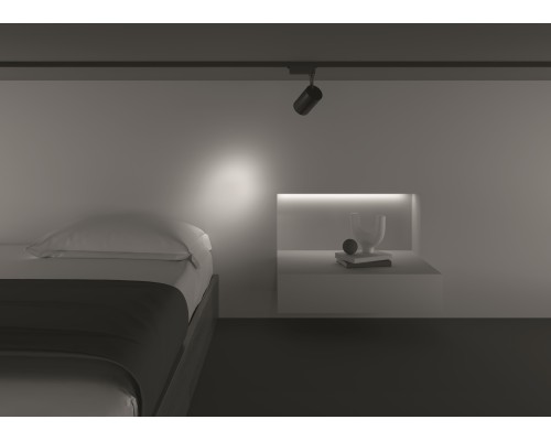 Трековый светильник Technical TR003-1-10W3K-S-B