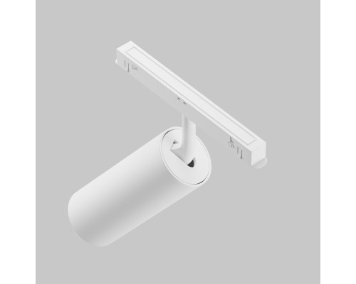 Трековый светильник Technical TR032-2-20W3K-S-W