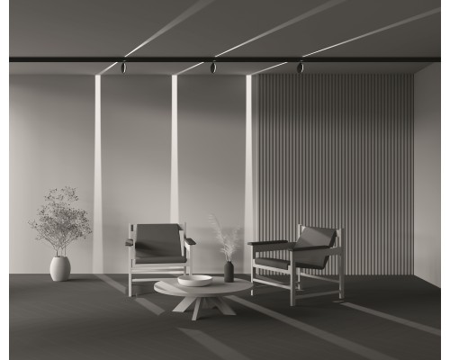 Трековый светильник Technical TR090-2-6W3K-B