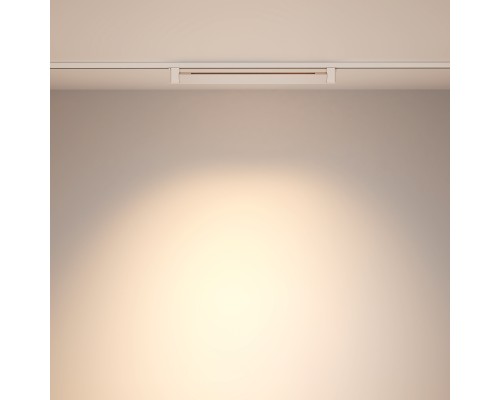 Трековый светильник Technical TR010-1-20W4K-M-W