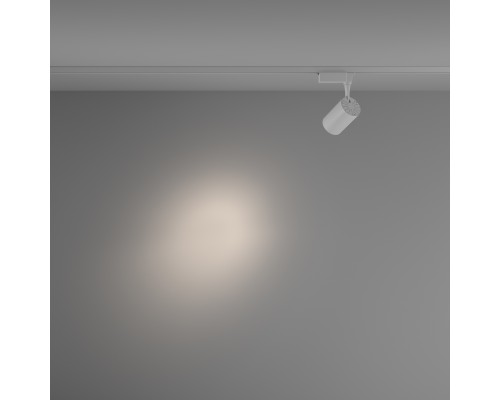 Трековый светильник Technical TR003-1-10W4K-S-W