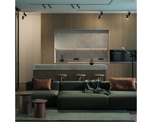 Трековый светильник Technical TR005-2-2X12W3K-B