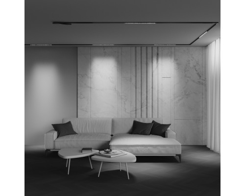 Трековый светильник Technical TR241-2-12W3K-B