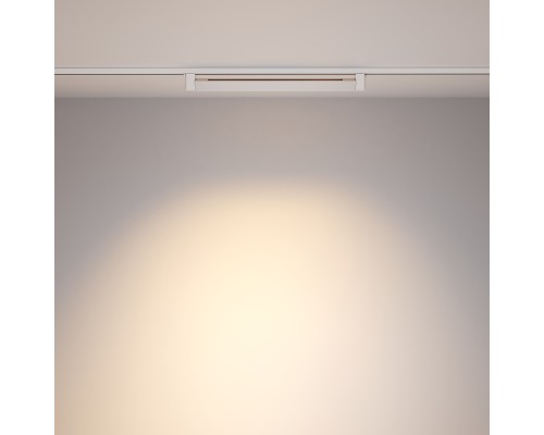 Трековый светильник Technical TR010-1-20W3K-M-W