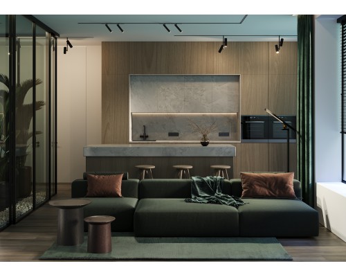 Трековый светильник Technical TR005-2-2X12W3K-B