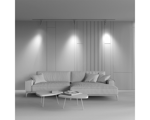 Трековый светильник Technical TR005-2-12W3K-BW