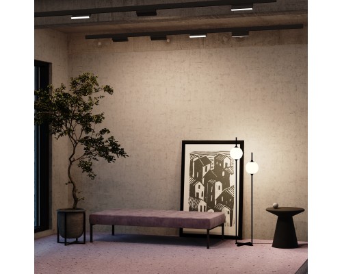 Трековый светильник Technical TR036-2-12W3K-B