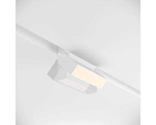 Трековый светильник Technical TR013-2-10W3K-W