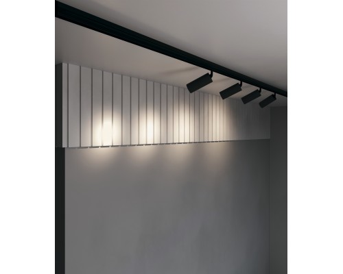 Трековый светильник Technical TR032-2-20W3K-S-B