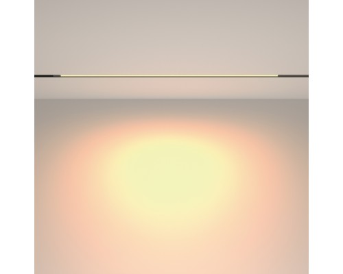 Трековый светильник Technical TR231-2-15W3K-B