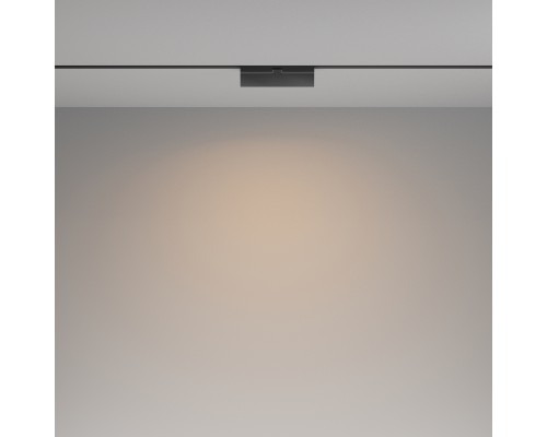 Трековый светильник Technical TR036-2-12W3K-B