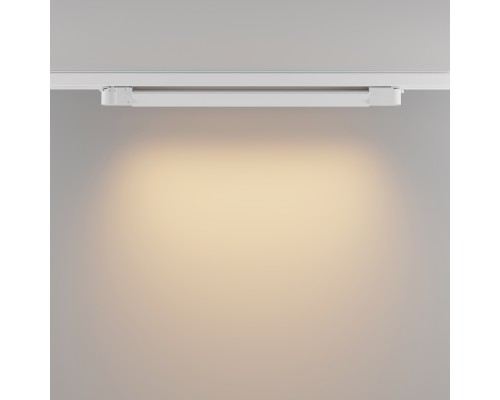Трековый светильник Technical TR196-3-20W2.7K-W(N)