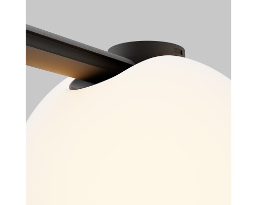 Трековый светильник Technical TR236-1-5W3K-B