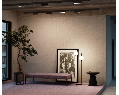 Трековый светильник Technical TR036-2-12W3K-B