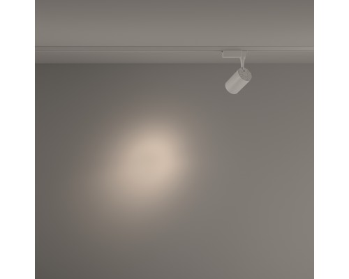 Трековый светильник Technical TR003-1-10W4K-S-W