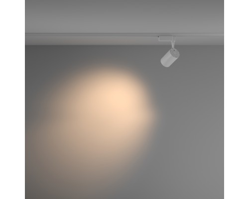 Трековый светильник Technical TR003-1-10W3K-M-W