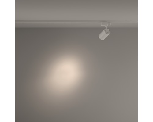 Трековый светильник Technical TR029-3-10W4K-S-W