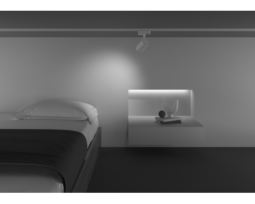 Трековый светильник Technical TR029-3-10W4K-W-W