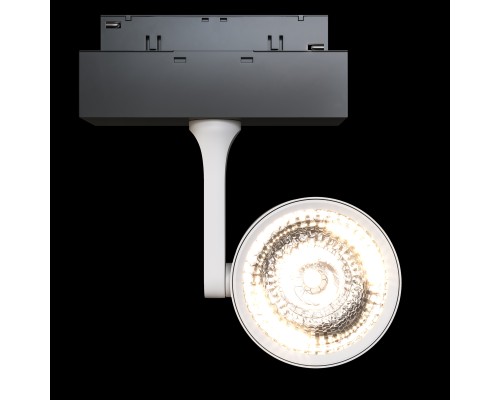Трековый светильник Technical TR024-2-10W3K