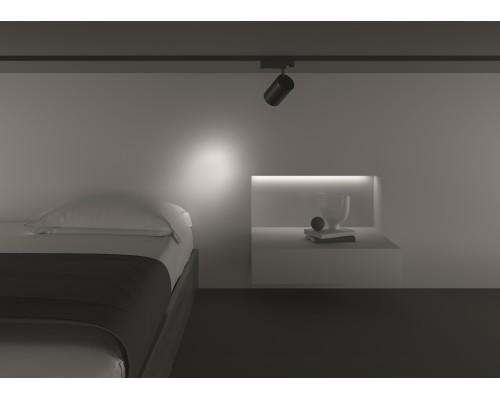 Трековый светильник Technical TR029-3-20W3K-S-B