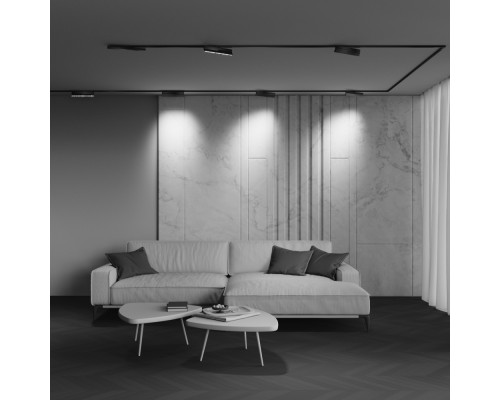 Трековый светильник Technical TR242-2-12W3K-B