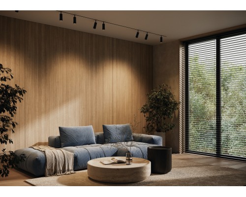 Трековый светильник Technical TR211-1-12W3K-Z-B