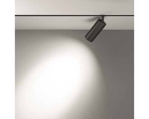 Трековый светильник Technical TR032-2-20W3K-S-B