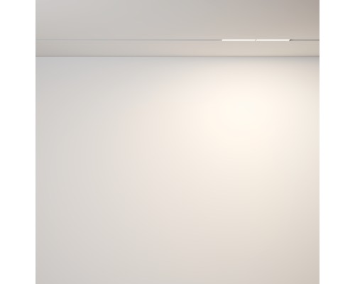 Трековый светильник Technical TR106-2-12W3K-W