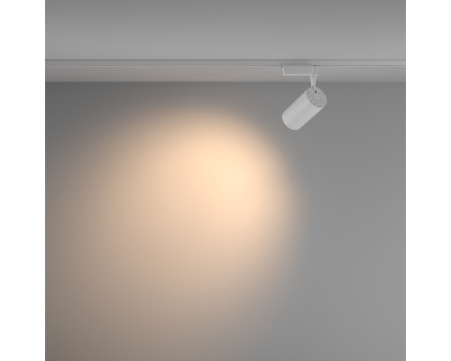 Трековый светильник Technical TR003-1-36W3K-W-W