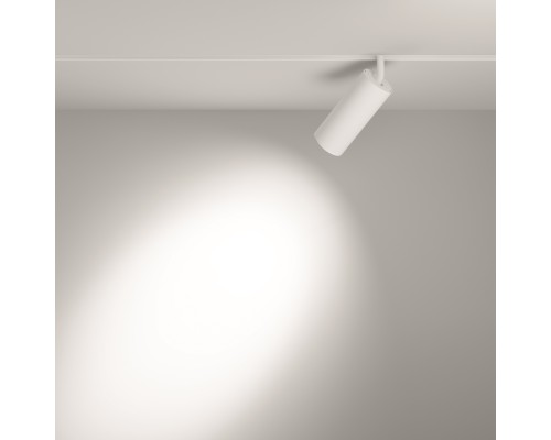 Трековый светильник Technical TR032-2-20W3K-S-W